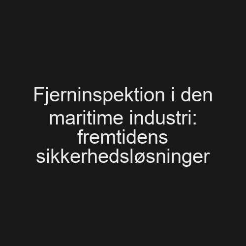 Fjerninspektion i den maritime industri: fremtidens sikkerhedsløsninger